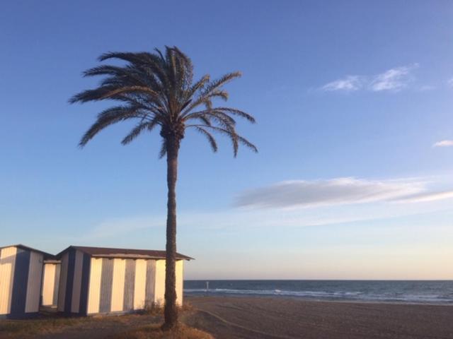 Panorama Daire Torrox Dış mekan fotoğraf